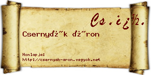 Csernyák Áron névjegykártya