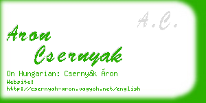 aron csernyak business card